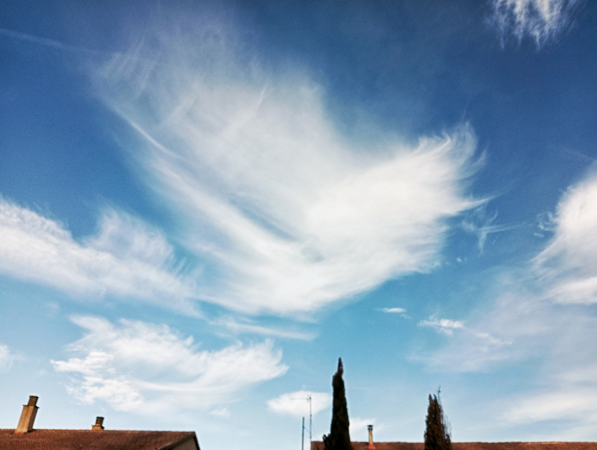 Como tratando de imitar la forma de una especie de ave majestuosa me encontré esta nube en el cielo que rápidamente capturé con mi teléfono antes de que se marchara , la verdad me llamó mucho la atención la forma que cogió 
