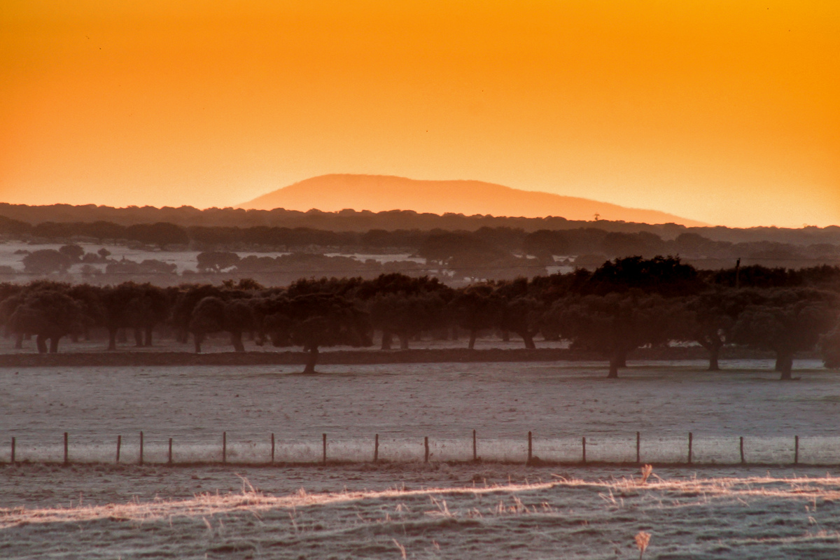 Durante la segunda mitad de este mes de diciembre han protagonizado las heladas fuertes en el campo salmantino dando lugar a paisajes al amanecer como este, desde tierras salmantinas os deseo a todos feliz año nuevo 
