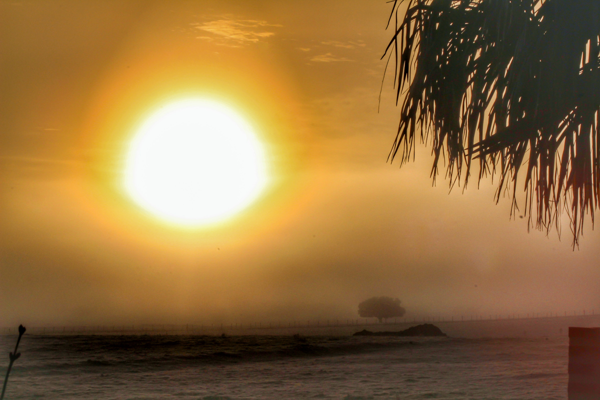 Como si de una bola de fuego de tratara (en parte lo es jeje) pude captar el sol al amanecer con una silueta más o menos bien definida gracias a las nieblas matutinas que hacían como de una especie de filtro para la cámara 
