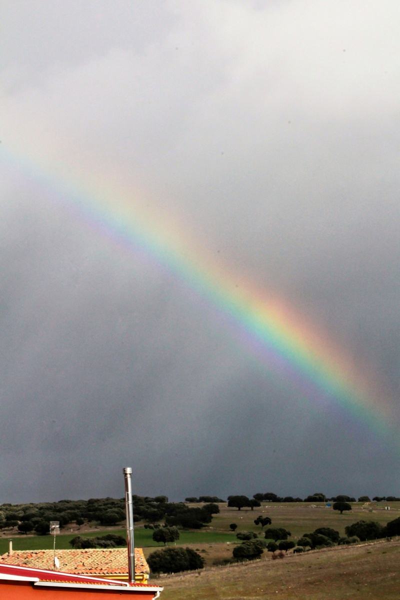 Otra toma del arcoiris captado el 19 de diciembre en la dehesa salmantina tras una jornada intensa de chubascos que nos muestra para mí la enorme belleza de los colores del arcoiris
