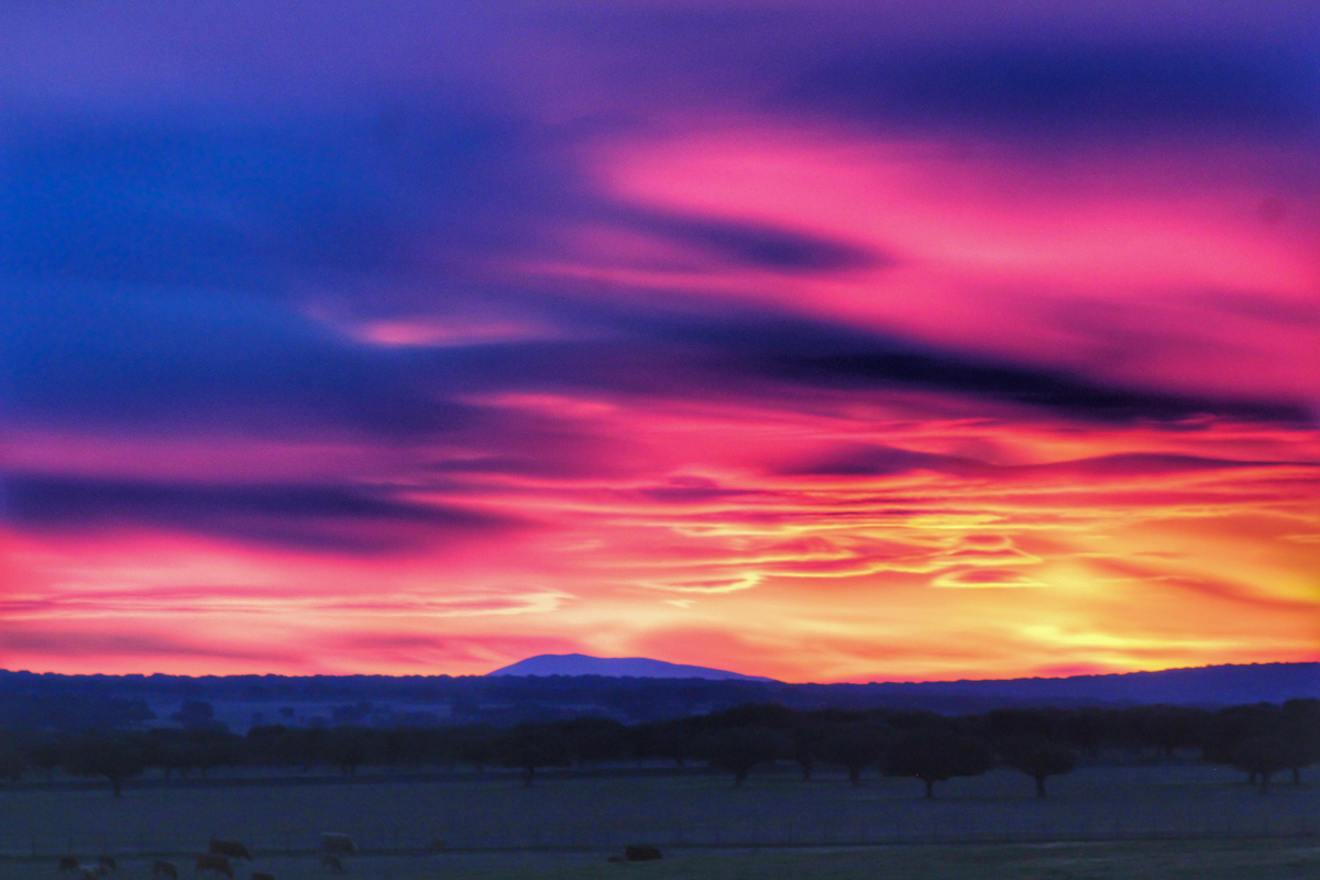 Otro amanecer que me regaló la dehesa salmantina junto a unas nubes altocumulus que colorearon el cielo y dejaron esta estampa ante mi 
