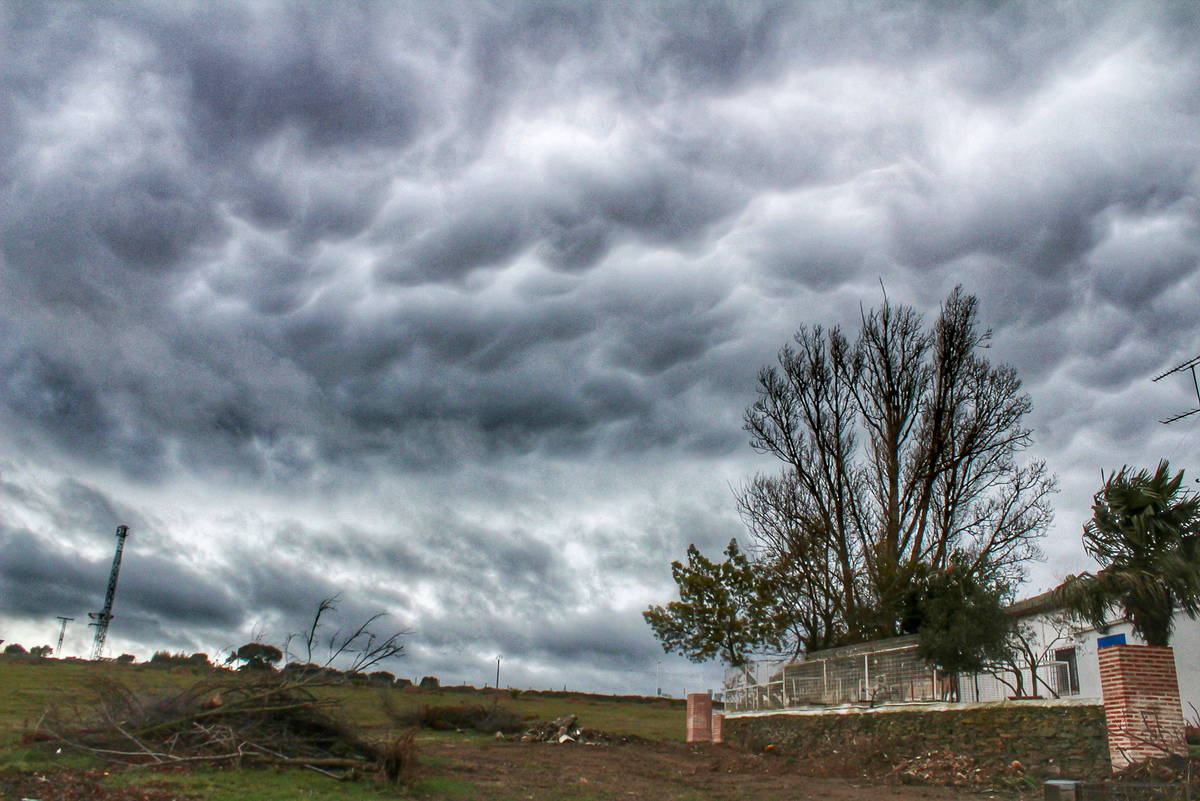 Cielo que se tiñó de nubes oscuras y amenazantes mammatus debido al intenso viento. Si no me equivoco por lo que he podido averiguar se producen por el cambio de aire frío que desciende y se junta con uno cálido ascendente. Posteriormente el cielo se abrió y acabaron cayendo unos buenos chubascos 
