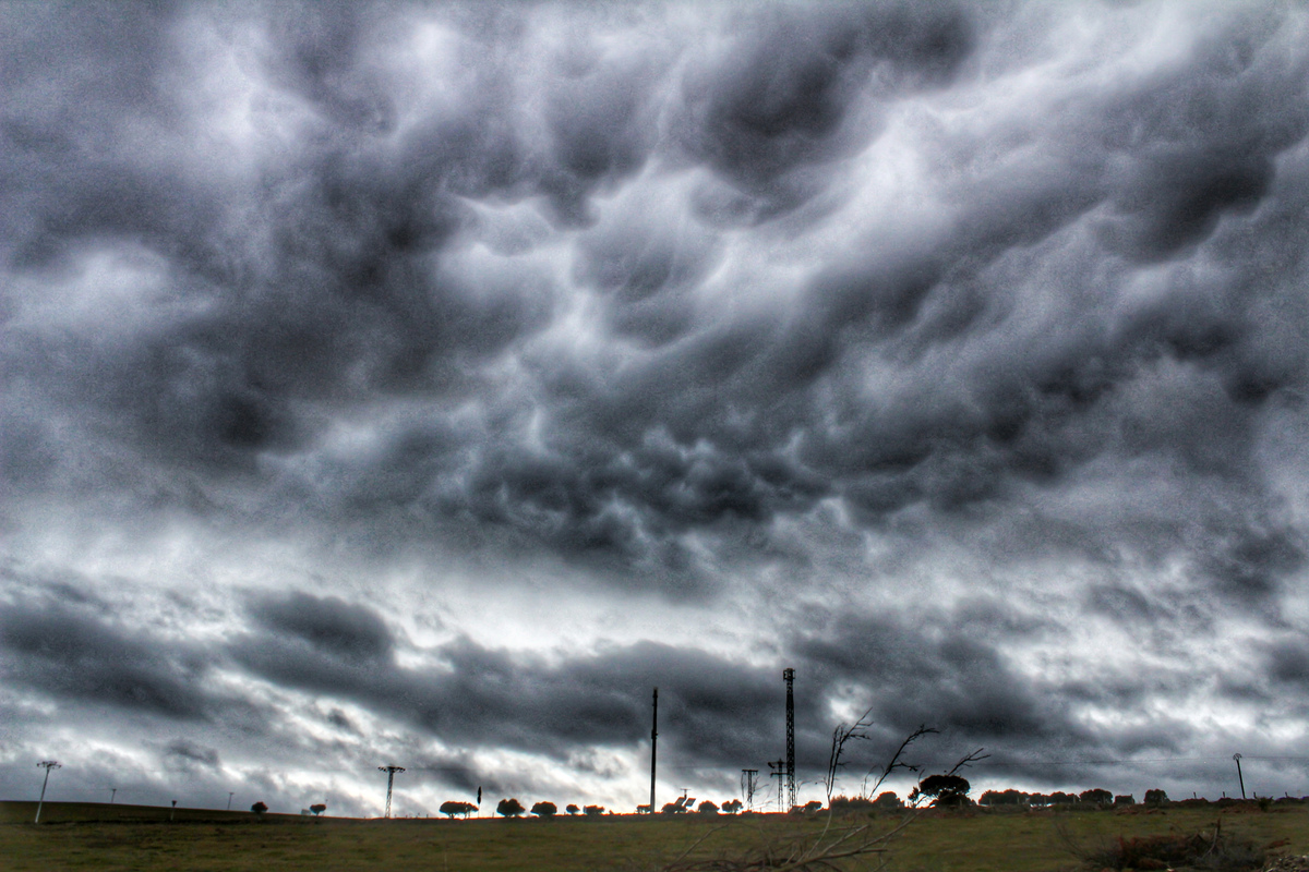 La verdad, lo último que me esperaba ver en esta época de invierno y por estas latitudes, es la formación de nubes mammatus que generalmente suelen estar asociadas a fenómenos tormentosos o tormentas fuertes, y aunque sí que es verdad que en Salamanca hemos tenido una sucesión de borrascas que han dejado mucha precipitación, al igual que llovió bastante tras el paso de estas mammatus, ha sido todo un regalo poder observarlas tan de cerca porque las tenía encima y con unas vistas campestres nada despreciables que siempre pueden ofrecer buen encuadre aunque en este caso al tenerlas encima no pude captar más a pesar de usar el 18mm
