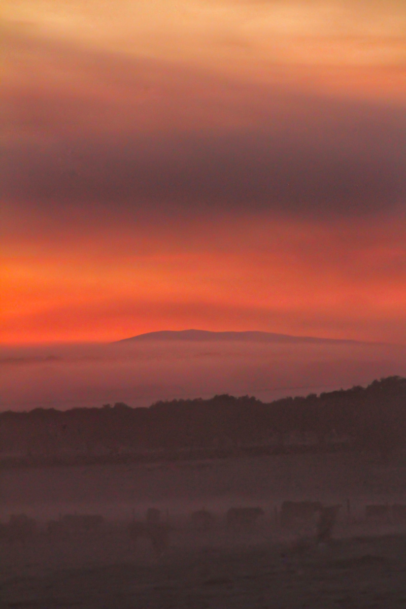 Quizá uno mismo muchas veces se deje atrapar por momentos mágicos como estos amaneceres sobre el campo y sierra salmantinos que ablandan el alma y se deje llevar por una pasión irrefrenable combinada , meteo y fotografía, cuando ambas se juntan crean una simbiosis indestructible.
Quizá el único lamento de esta fotografía es no haberla podido realizar con unos parámetros seguramente más correctos y con más tiempo material para haber podido usar mi trípode pero supongo que estas vistas tienen una kriptonita para mí , que son desde mi lugar de trabajo y dispongo de poco tiempo para realizarlas, la montaña que se ve al fondo pertenece a la sierra de Gredos, espero que os enamore 
