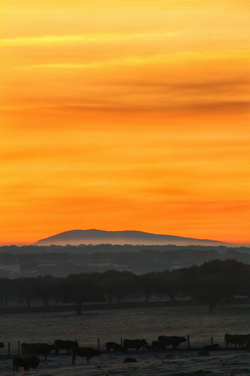 No podía amanecer de otra manera un día como el 14 de febrero para renacer en mi alma esa pasión por la meteo y la fotografía regalándome el cielo y el campo estas vistas tan enamoradizas, espero que os guste 
