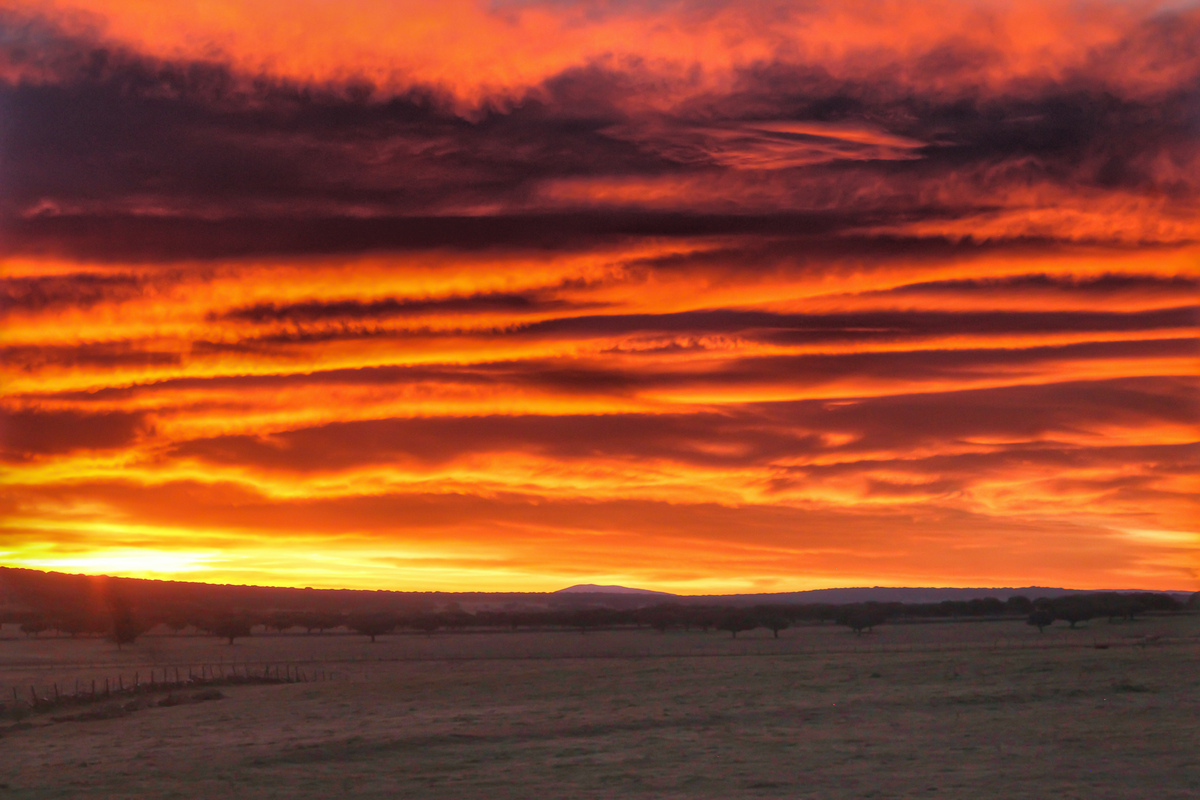 El día 15 de febrero ya prometía según amanecía con este precioso candilazo con algún altoestrato mamma incluso, un cielo colorido que quita los sentidos y llena de magia tu corazón , espero que os guste 
