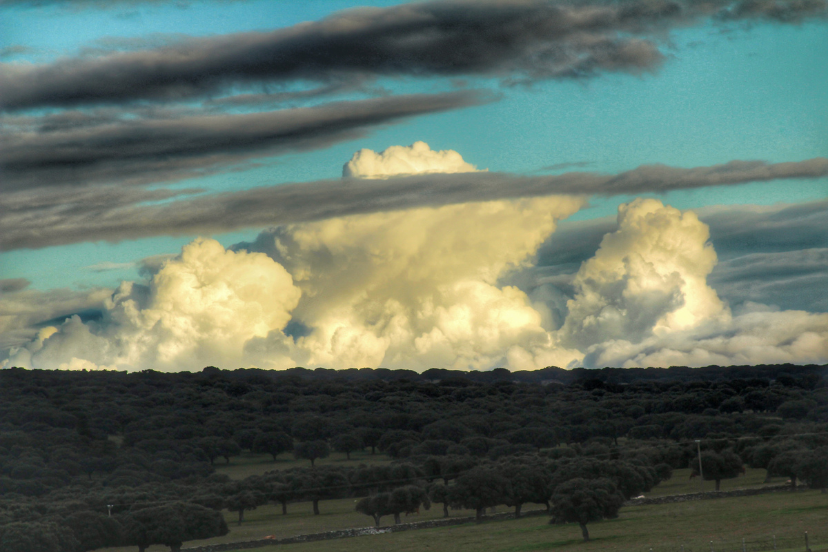 Como si de una barrera natural se tratara esas nubes altas parecen proteger a este modesto cumulonimbo invernal coloreado por los últimos rayos del atardecer, cuando el astro rey ya comenzaba a esconderse, no pude dejar pasar la ocasión de inmortalizarlo junto con el siempre bello campo de encinas 
