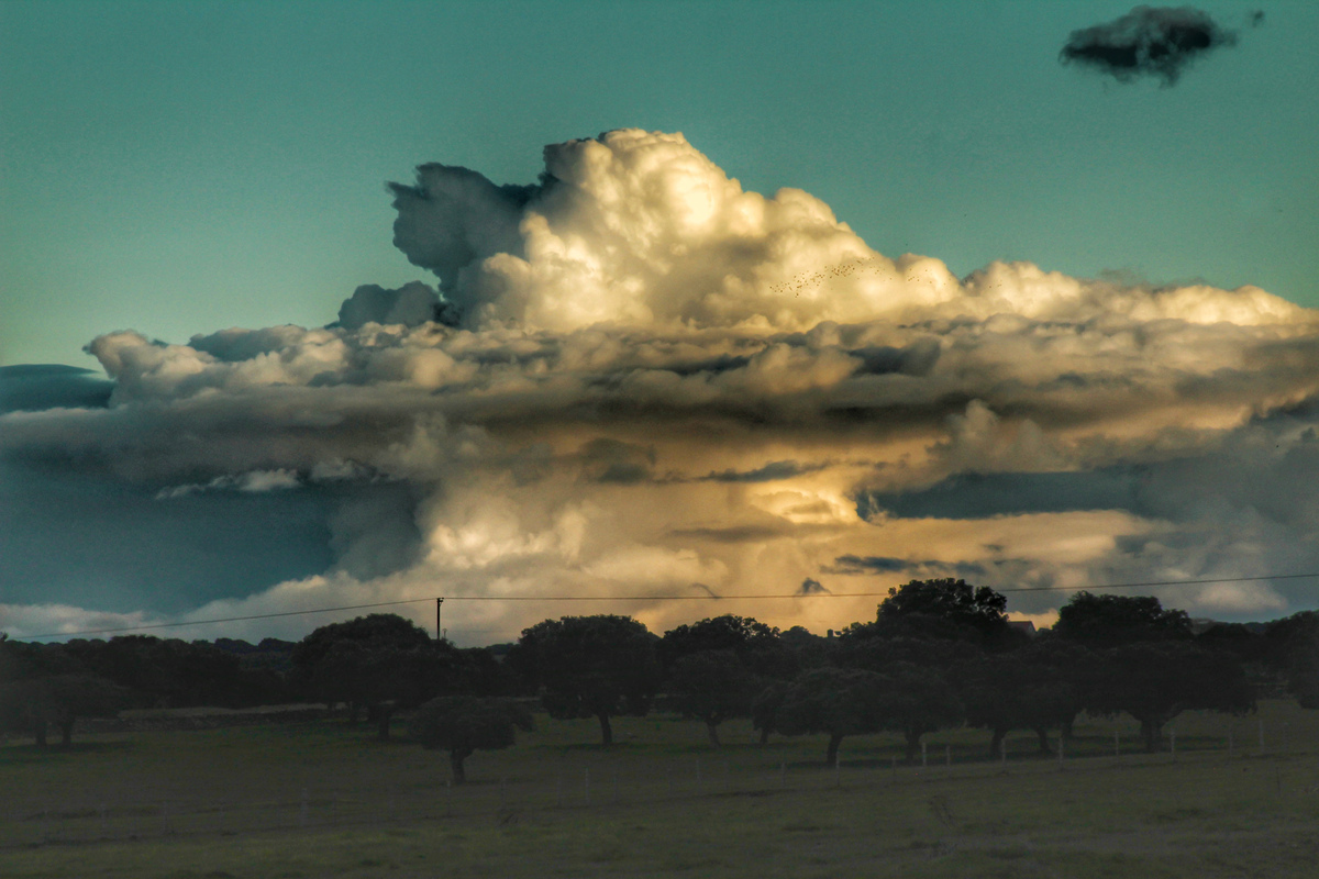 Llevamos un invierno que estamos teniendo de todo por Salamanca, exceptuando una nevada en condiciones de las que caían antes por aquí, pero he presenciado cencellada, candilazos, mammatus, lenticulares... Y estos días cumulonimbos, pero estos para mí más especiales , con la dehesa salmantina siempre bella y con los colores del atardecer que aporta ese toque de magia en el cielo, espero que os guste 
