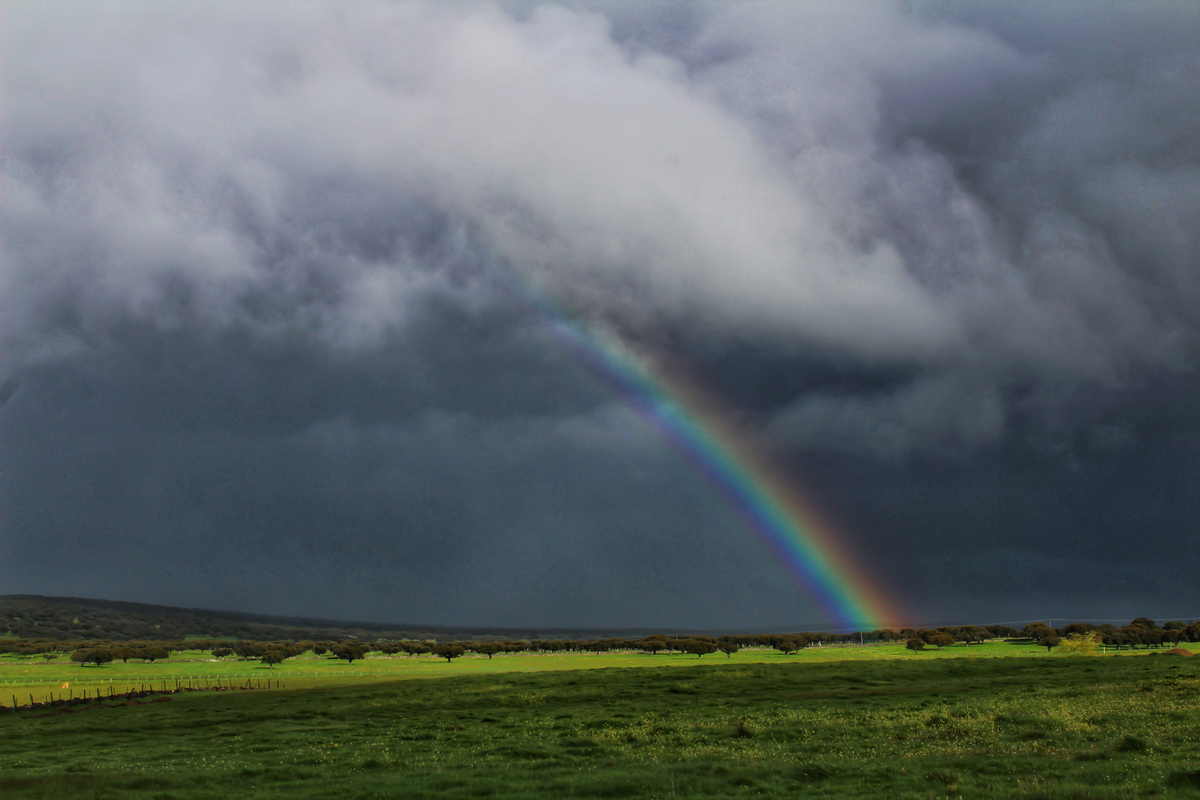 Un arco iris supernumerario es un fenómeno óptico que aparece como franjas coloreadas estrechas y brillantes cerca del arco iris primario, típicamente en el interior de éste. Estas franjas son causadas por interferencia de la luz y son más comunes cuando las gotas de agua son pequeñas y uniformes. Fuente: Google. 
