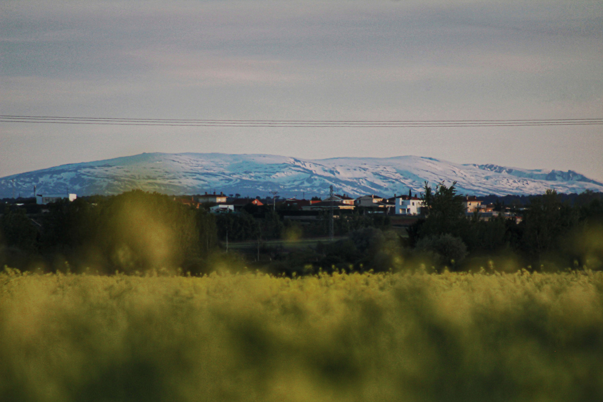 Vista desde la zona de Huerta, Salamanca mirando hacia el sur contemplando la majestuosa sierra de Béjar tras las últimas nevadas del mes de abril cuando todavía presentaba un buen aspecto nevado
