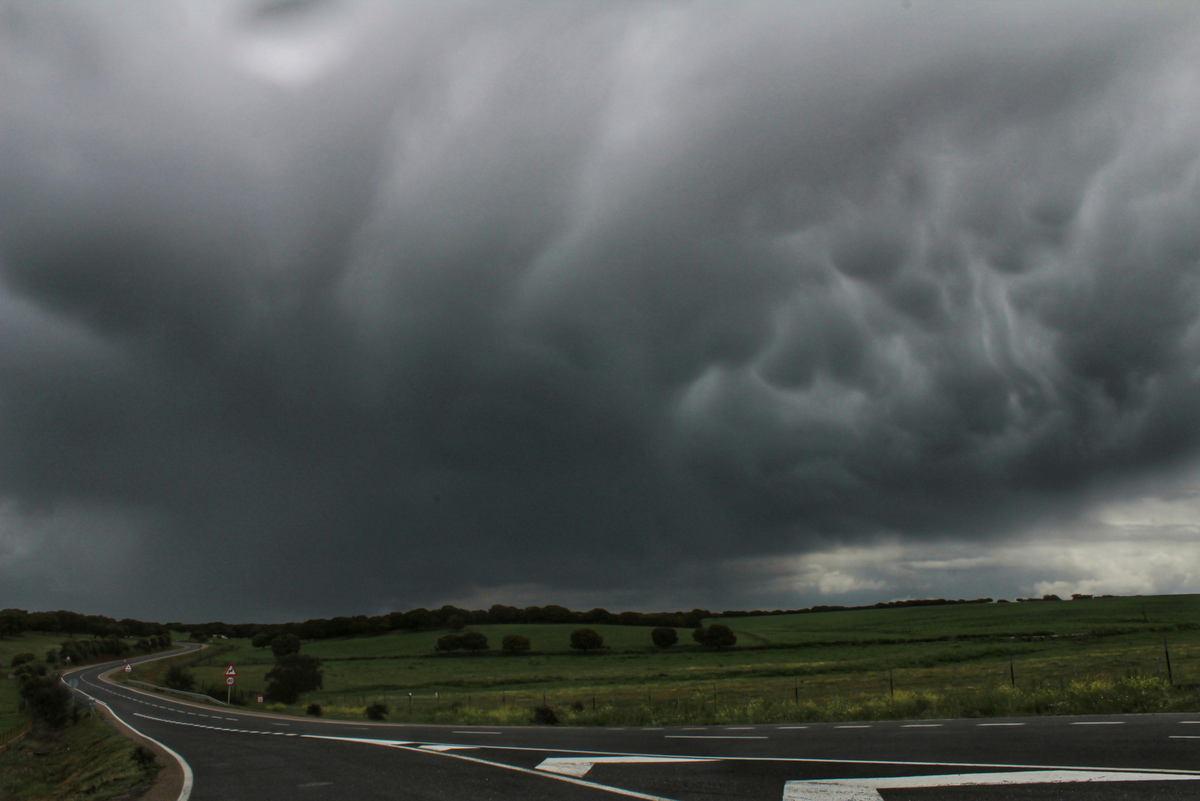 Preciosa estampa está dejando la primavera y las abundantes lluvias en la provincia de Salamanca, campos muy verdes aunque no muy florecidos pues ha salido poco el sol al mismo tiempo, pero si es para poder capturar esta escena y tener papa nuevo, merece la pena, después de salir de Salamanca y atravesar una intensa granizada me paré al lado de una finca en ésta carretera y no dudé en inmortalizar esta estampa 
