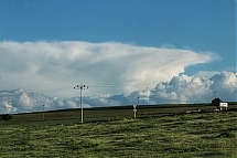 IMG_8551.jpg