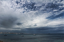 IMG_8707.jpg
