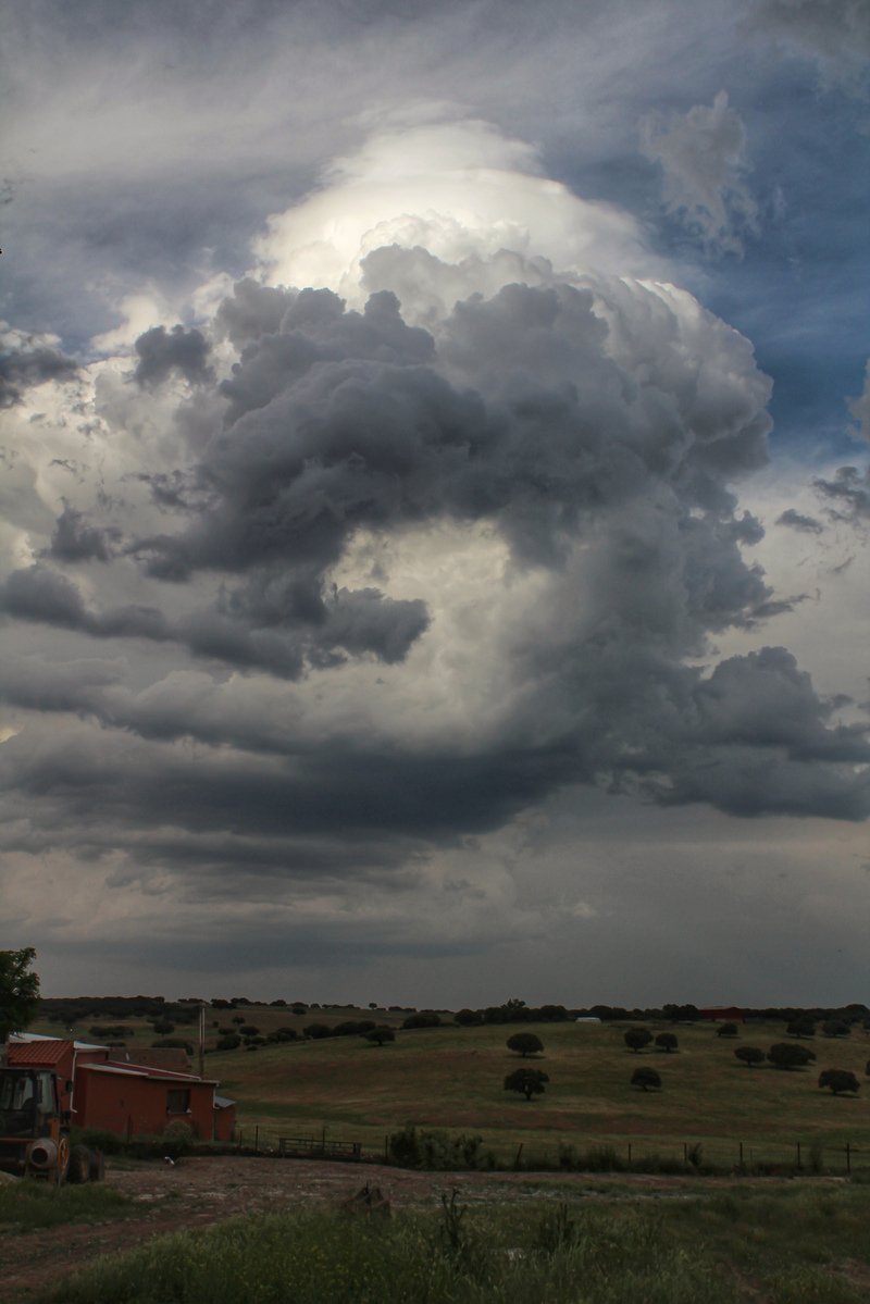Primer día de junio marcado por las tormentas que se dejaron ver tímidamente en la dehesa salmantina. 
