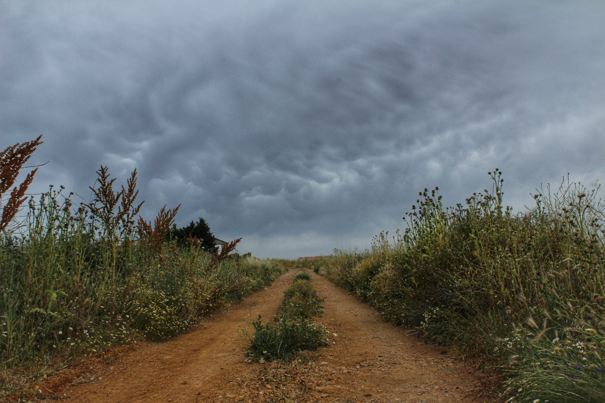 Buena serie de tormentas están marcando la península este verano, y en Salamanca aún no siendo tan intensas, se están dejando ver y por ende los mammatus, que van asociados a estas tormentas. También están destacando dejando cielos así, imposibles de no fotografiar. 
