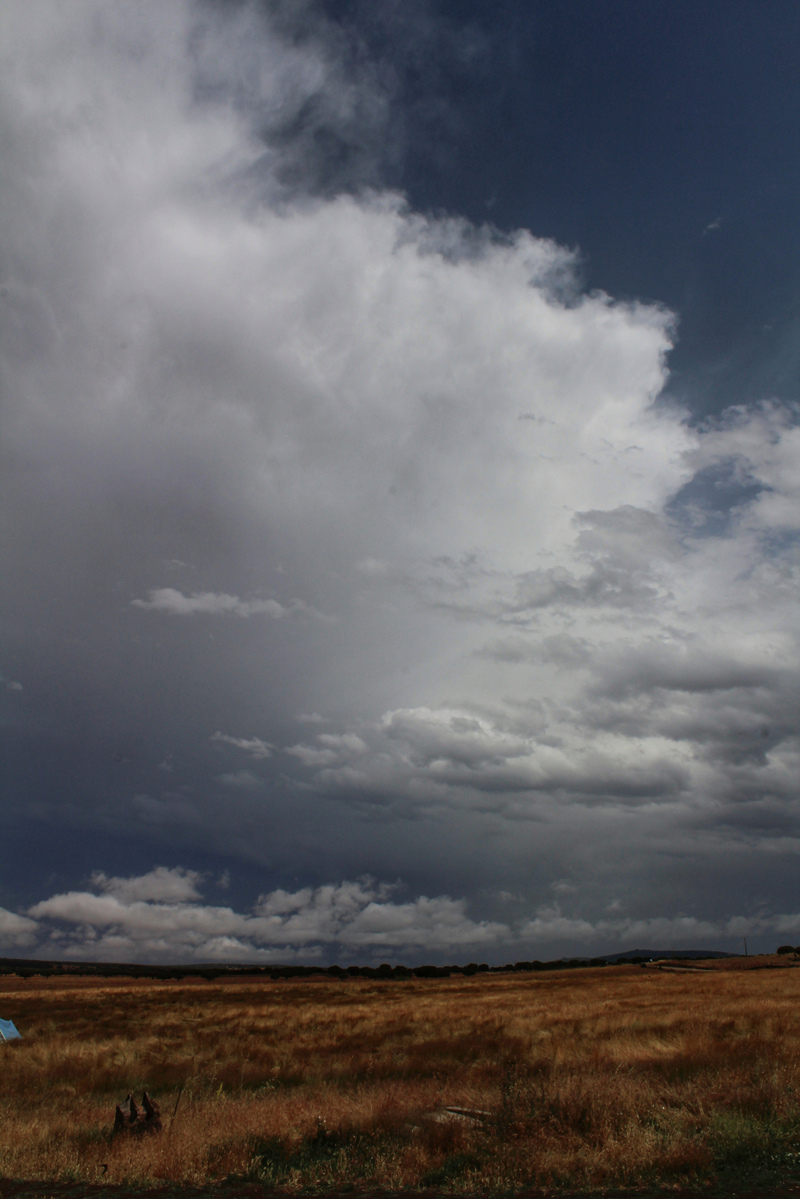 Tormenta descargando y alejándose más o menos desde el suroeste al noreste que posteriormente dejó un cielo lleno de mammatus cuando empezaba a tener más actividad eléctrica 
