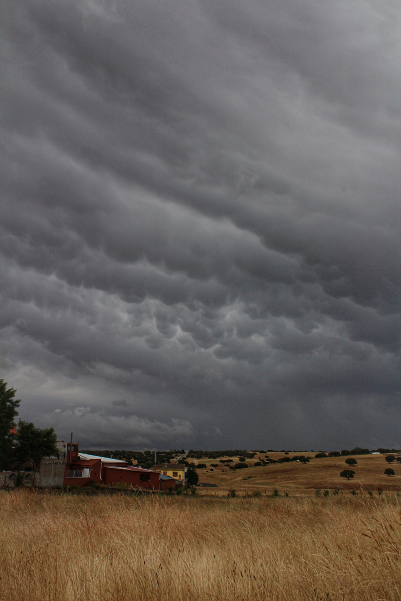 No es poca cosa encontrarse con un cielo repleto de mammatus tras una tormenta importante o mientras la hay cerca, pero curiosamente es lo que se está dejando ver más ante mis ojos en estas tormentas de verano y es imposible de no inmortalizarlo. 
