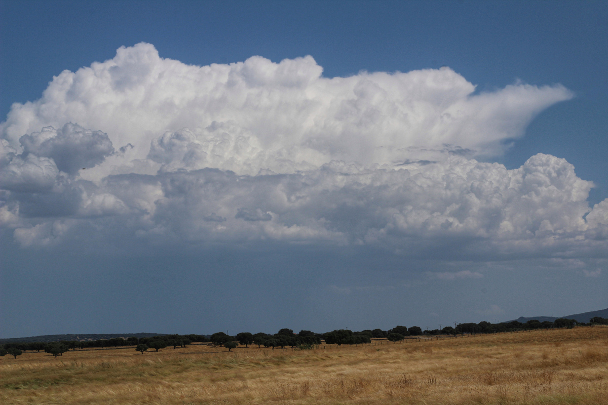 Buen cúmulo creciendo al sur de mi posición que fue evolucionando hacia una pequeña tormenta que acabó al norte/noreste más o menos de mi posición. Le he puesto de título cumulonimbus y su banda, jeje, porque se pueden apreciar varias formaciones adyacentes en perspectiva debajo del capillatus. 
