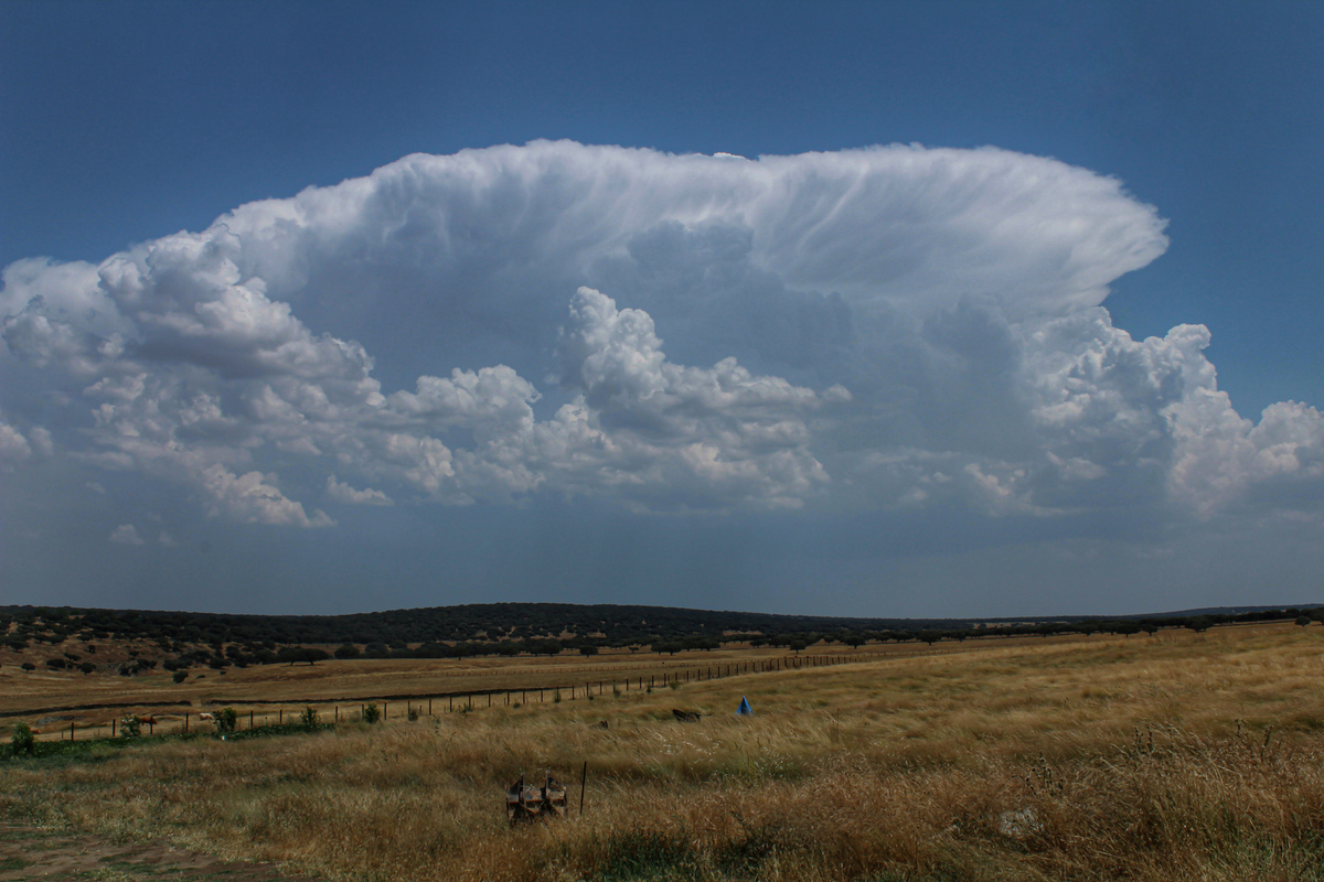 Días de tormenta y nubes convectivas por la península y la provincia charra que en este caso capté en forma de capillatus con ese bonito contraste entre el amarillo de los campos en verano, el cúmulo solitario y el cielo azul. 
