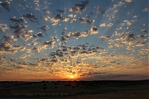 IMG_9490.jpg