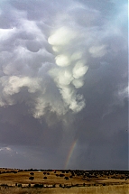 Nombre del archivo=IMG_9621ame.jpg
Tamaño del archivo=377Kb
Dimensiones=683x1024
Fecha añadida=Agosto 12, 2025 IMG_9621ame.jpg