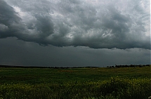 IMG_0866_28129.jpg