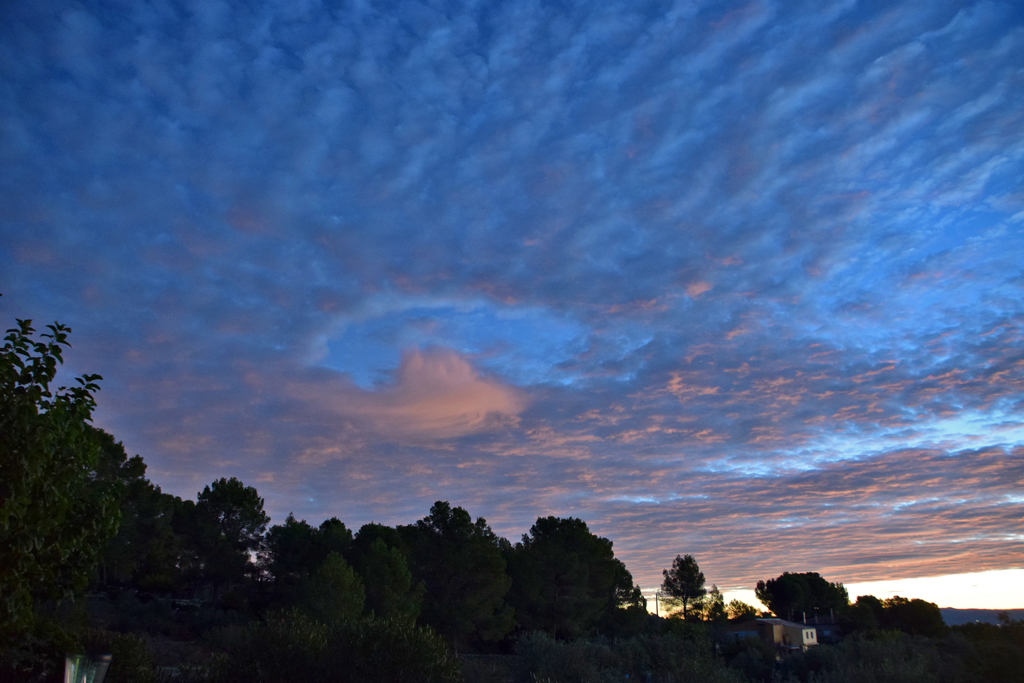 Hole Punch Cloud al amanecer.
Agujero formado al amanecer en esta gran nube formada por altocúmulos.
