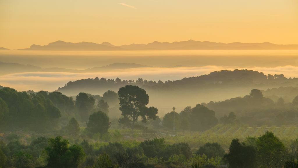 Nieblas en los valles
Nieblas que inundan los valles del término municipal de l'Olleria, una estampa que se repite con mucha frecuencia al amanecer.
