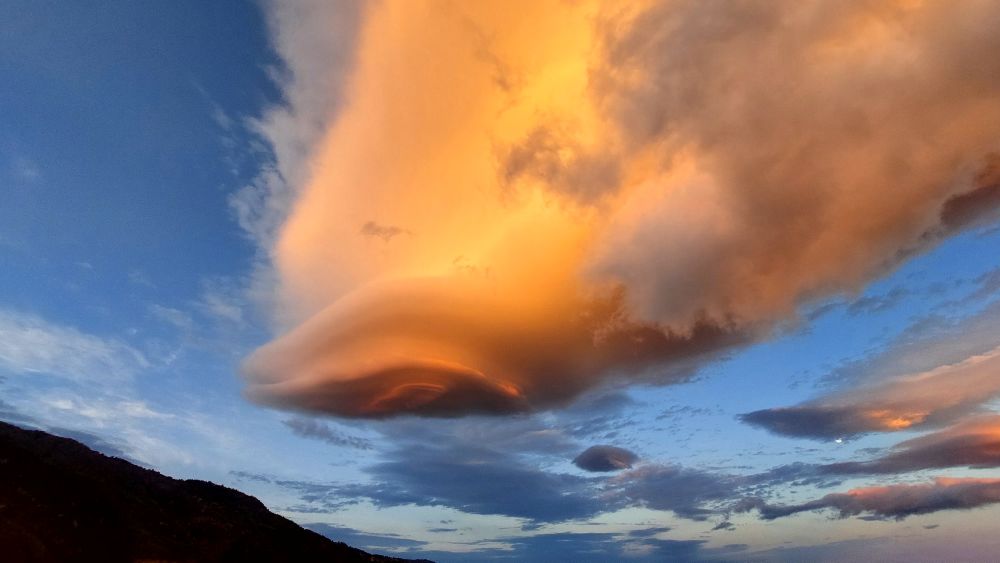 Lenticular naranja
