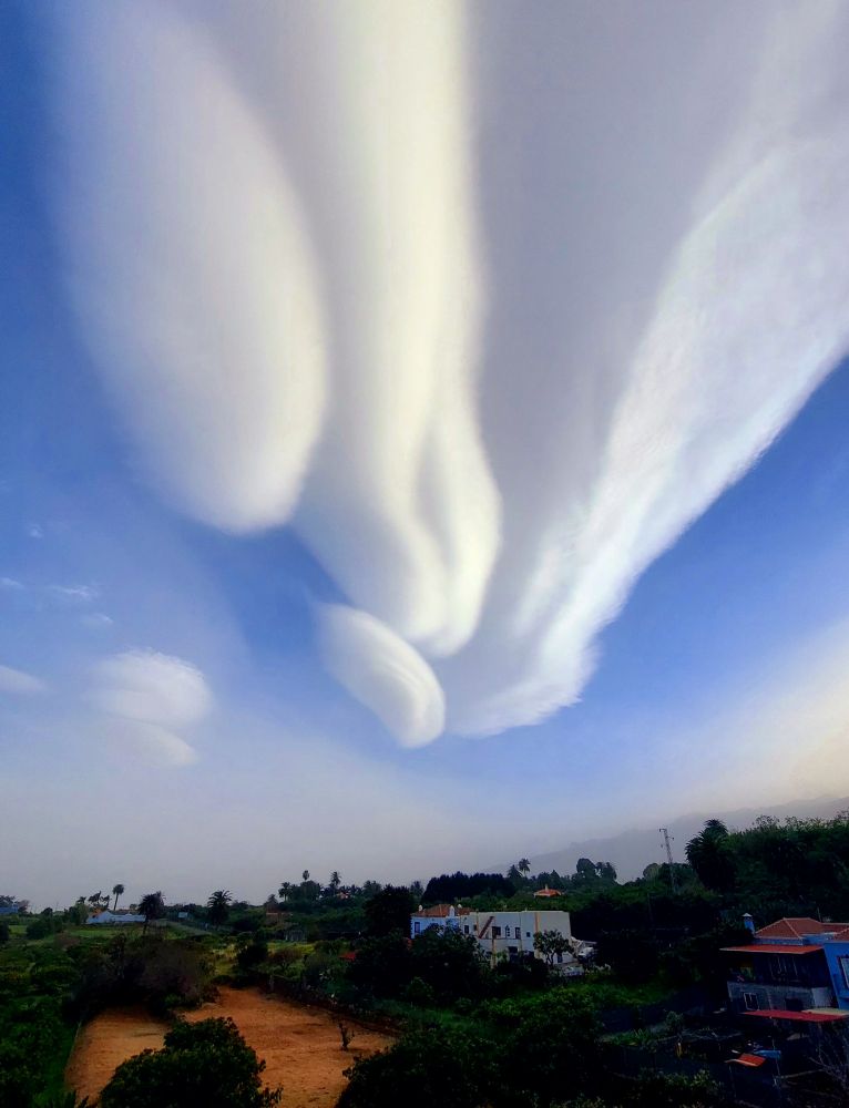 lenticular vertical
