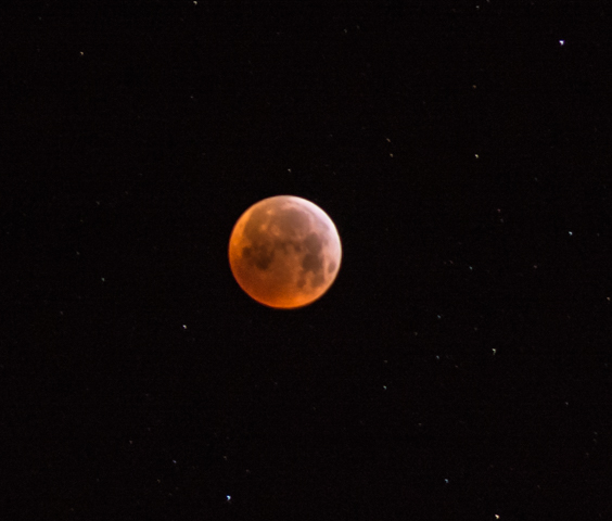 Luna de sangre
Eclipse de luna que hemod podido ver en el Delta del Ebro
