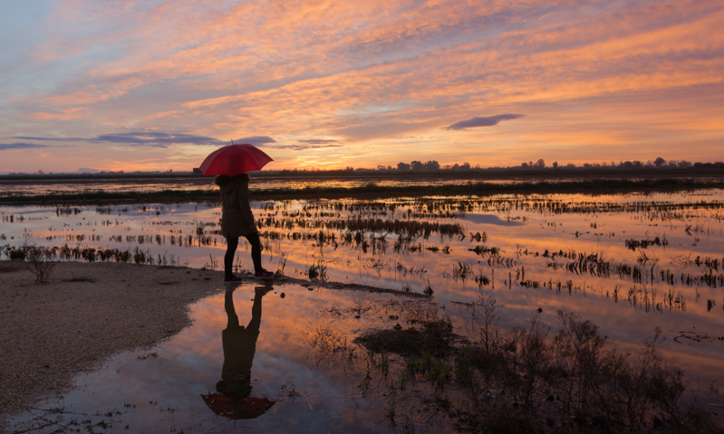 Amanecer rojizo
Despertar entre los arrozalesdel Delta del Ebro es increible
