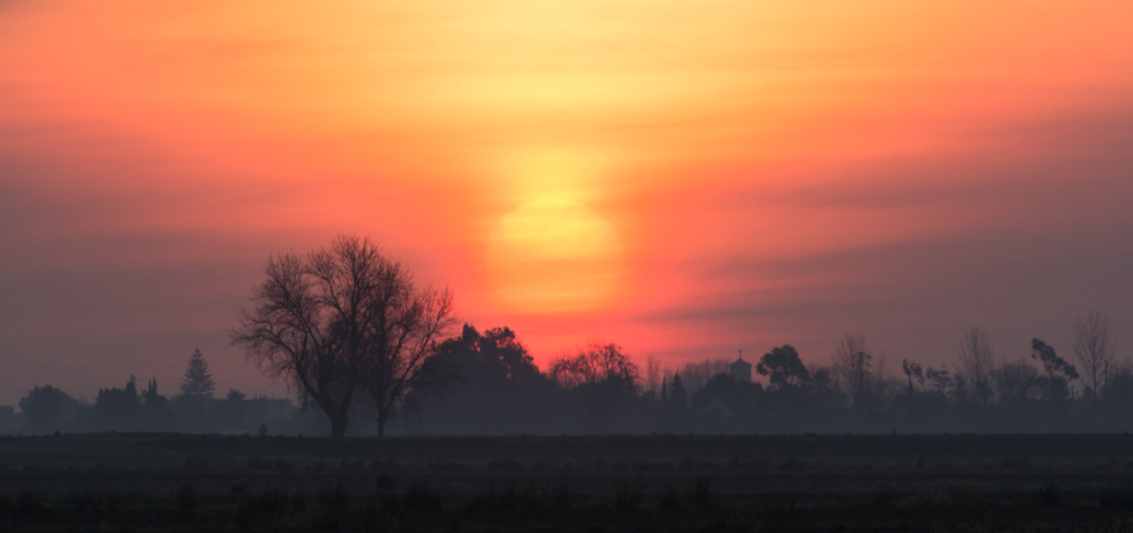 El sol naciente
Amanece en el Delta del Ebro con finas nieblas que hacen que el paisaje sea místico
Álbumes del atlas: aaa_no_album