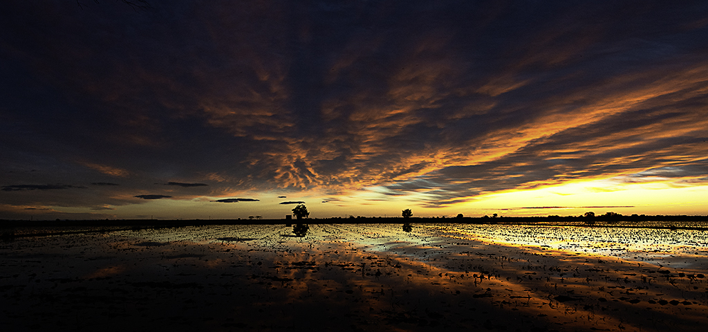 Típico amaneceer de otoño en el delta, se acercan los dias de viento
