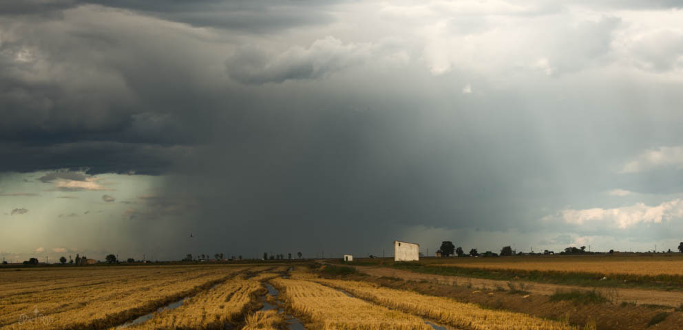 Desplome otoñal
tarde de tempesta en el delta del Ebro
Álbumes del atlas: aaa_no_album