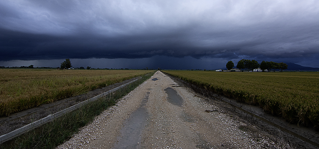 Llegan las primeras lluvias al Delta del Ebro. Después de tanta sequia mos viene genial
