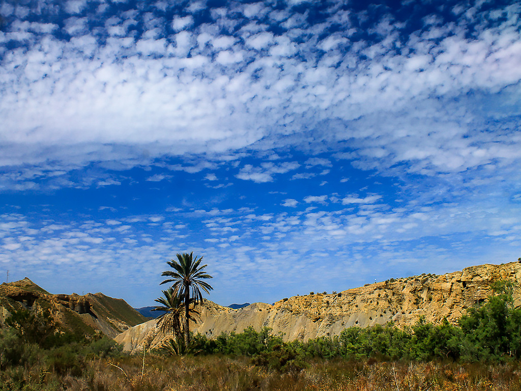 "MAYO"
El desierto de Tabernas (Almería) no deja de sorprender en cualquier época del año, pero es en primavera cuando el cielo parece más azul y las nubes más blancas.
