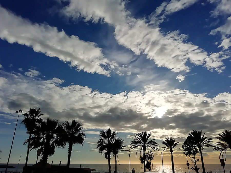 "palmeras en las nubes"
Esta fotografía está tomada en el Paseo Marítimo de Almería 
