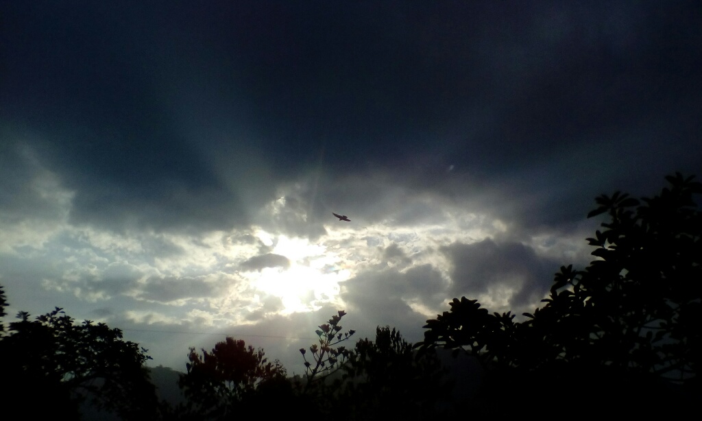 Brillante entre nubes
Un ave volaba y se podía observar que las nubes brillaban gracias a los rayos del sol.
Álbumes del atlas: aaa_no_album