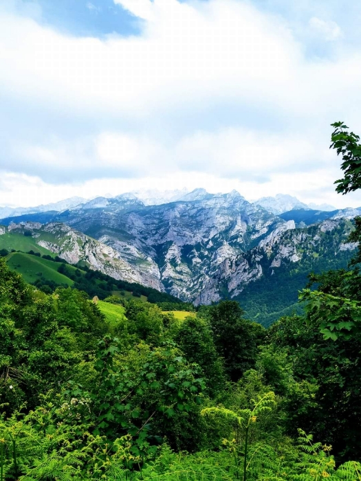 Picos de Europa
