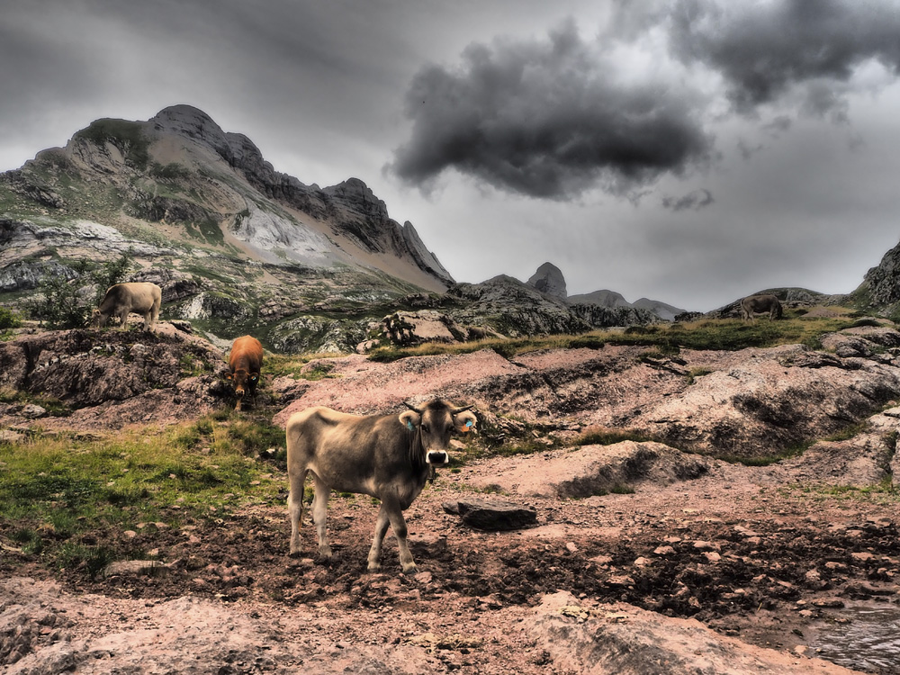 LA HUIDA
En el Ibón de Estanés, valle de Hecho, se acerca la tormenta. Huid mientras podáis. 
Álbumes del atlas: aaa_no_album