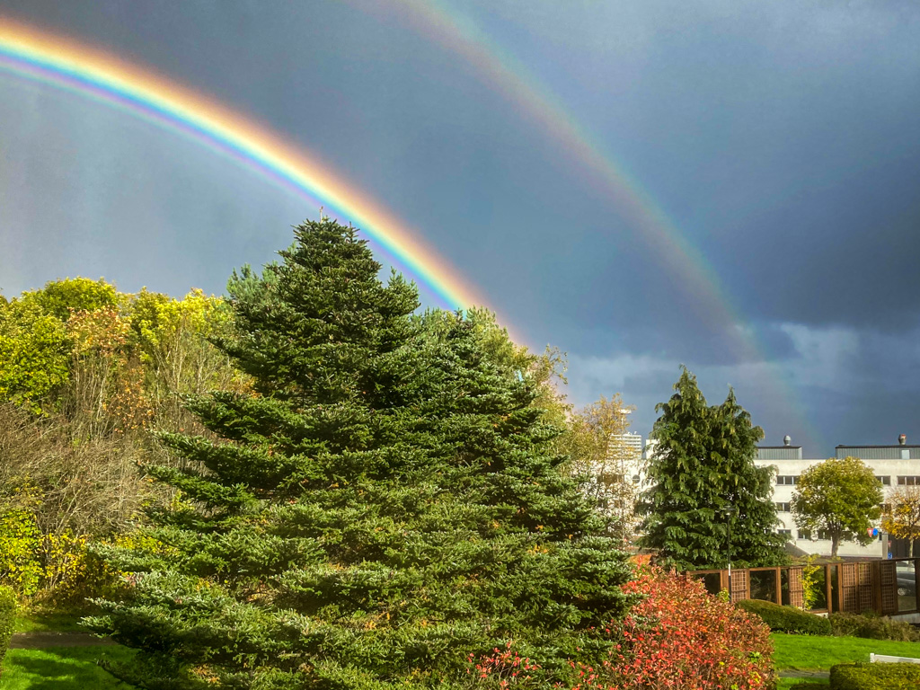 Doble arco iris
Doble arco iris que aparece en la ciudad de Stavanger despues de una tormenta de otoño.
Álbumes del atlas: zfo22 arco_iris_supernumerario
