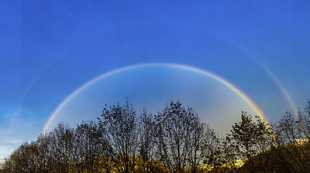 Arcoíris doble
Tras una mañana de lluvias, un claro entre las nubes da lugar a este arcoíris doble. Fotografiado con la función panorámica de la cámara.
