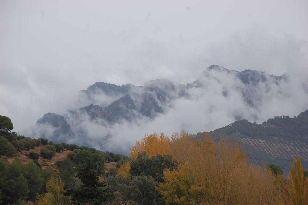 Stratus fractus
"Nieblas en la Sierra de las Villas". Tarde de lluvia y niebla en el Valle del Guadalquivir en Mogón, desde donde se podía ver la Sierra de las Villas con nieblas bajas.

