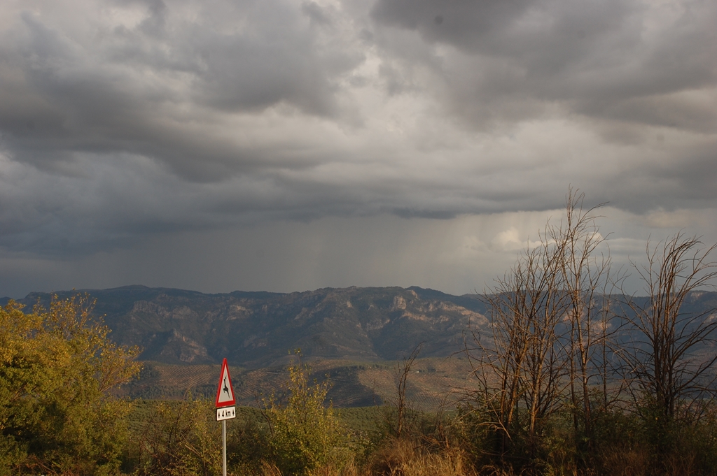 Cortina de lluvia en la Sierra de las Villas
Cortina de lluvia durante una tarde de tormentas vista desde Villacarrillo en la Sierra de las Villas. La tormenta se extiende entre la morra de los cerezos y la morra del pardal.
