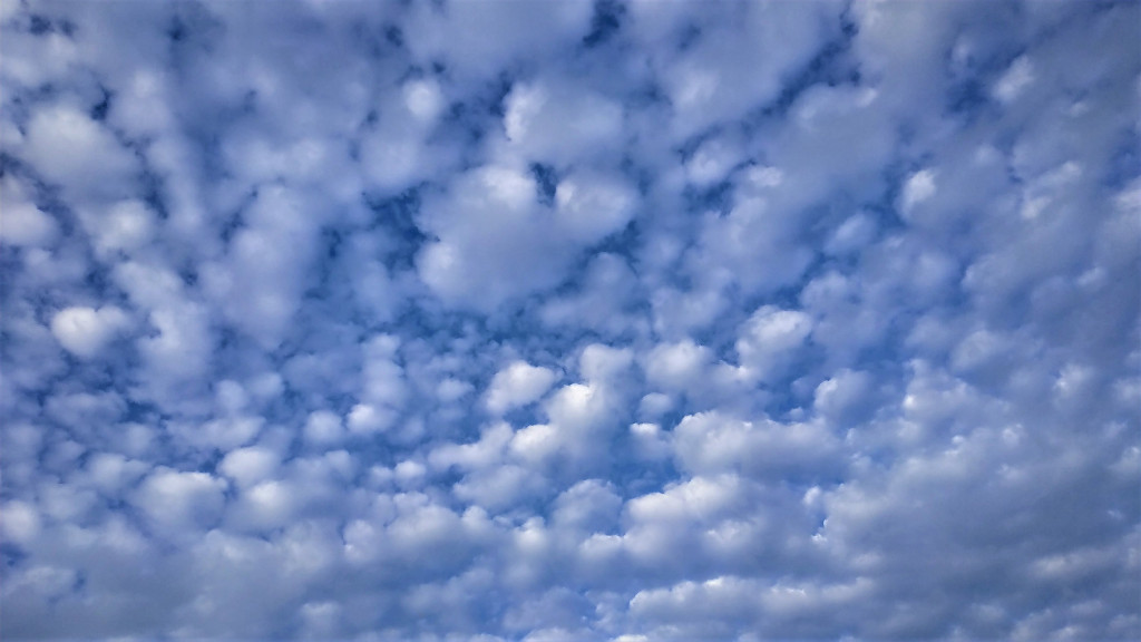 Altocúmulos en la tarde
Altocúmulos con cielo azul.
Álbumes del atlas: aaa_atlas