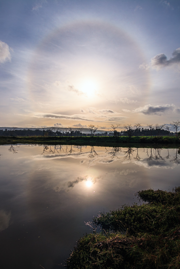 Reflejo
Captura realizada desde un remanso del río Umia.
