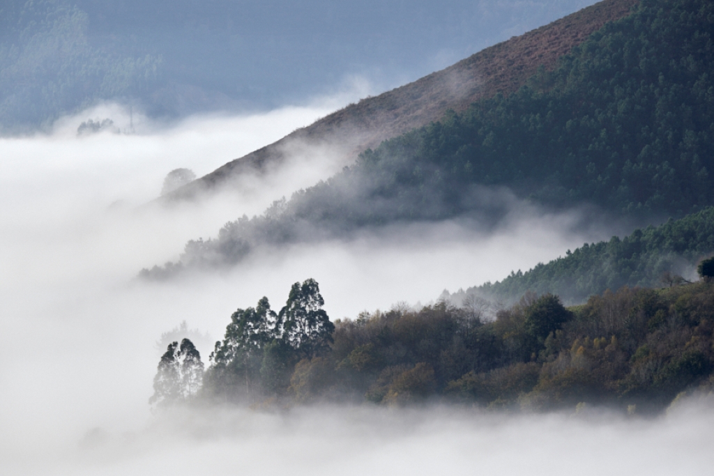 Nieblas matinales
Primeras nieblas tras el amanecer en el concejo de Cabranes, en el centro de Asturias
Álbumes del atlas: aaa_no_album