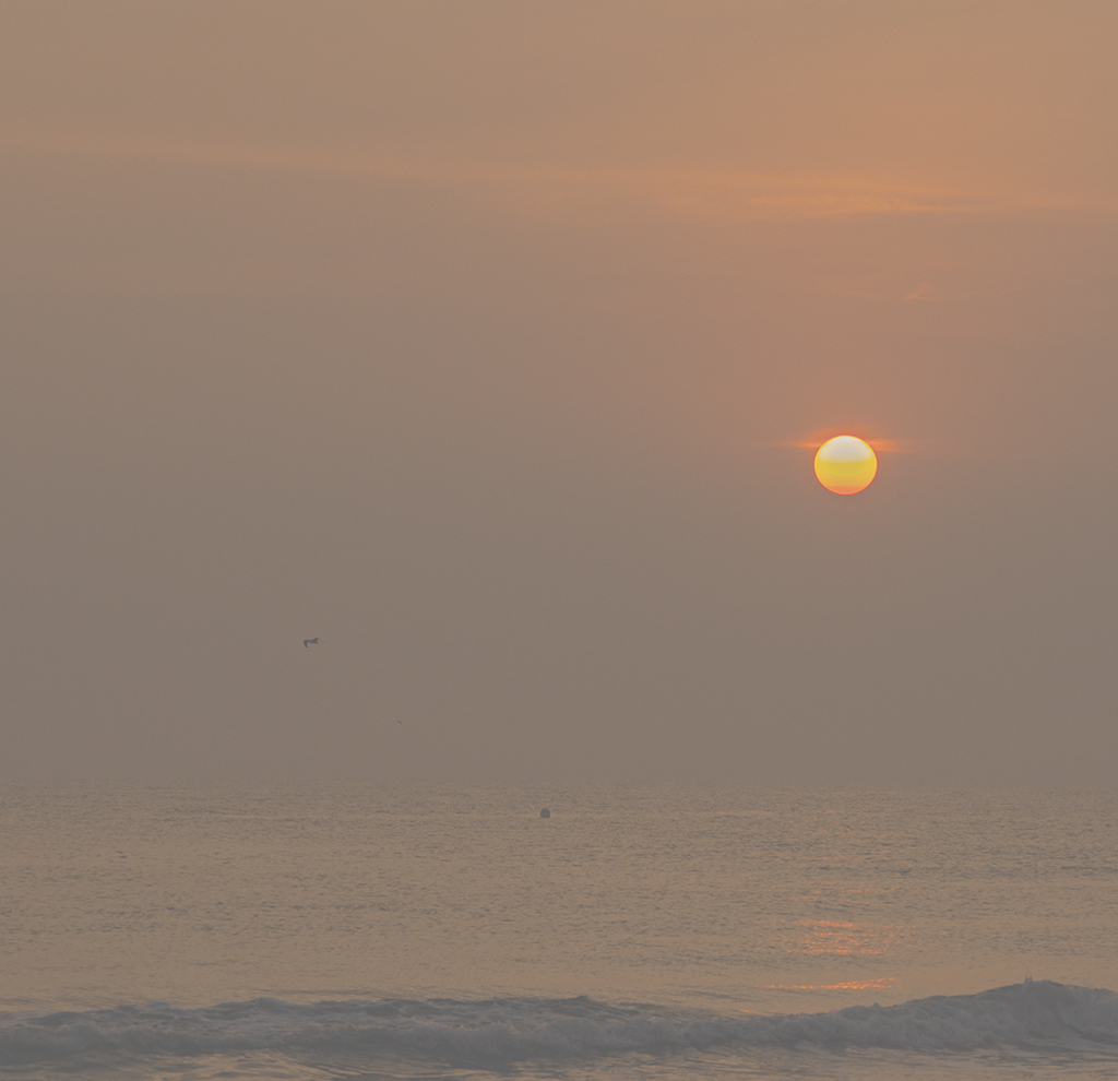 Los colores del Sol
Orto del Sol sobre la mar, y los cambios que toma el disco solar al elevarse sobre el horizonte
Álbumes del atlas: zfo21