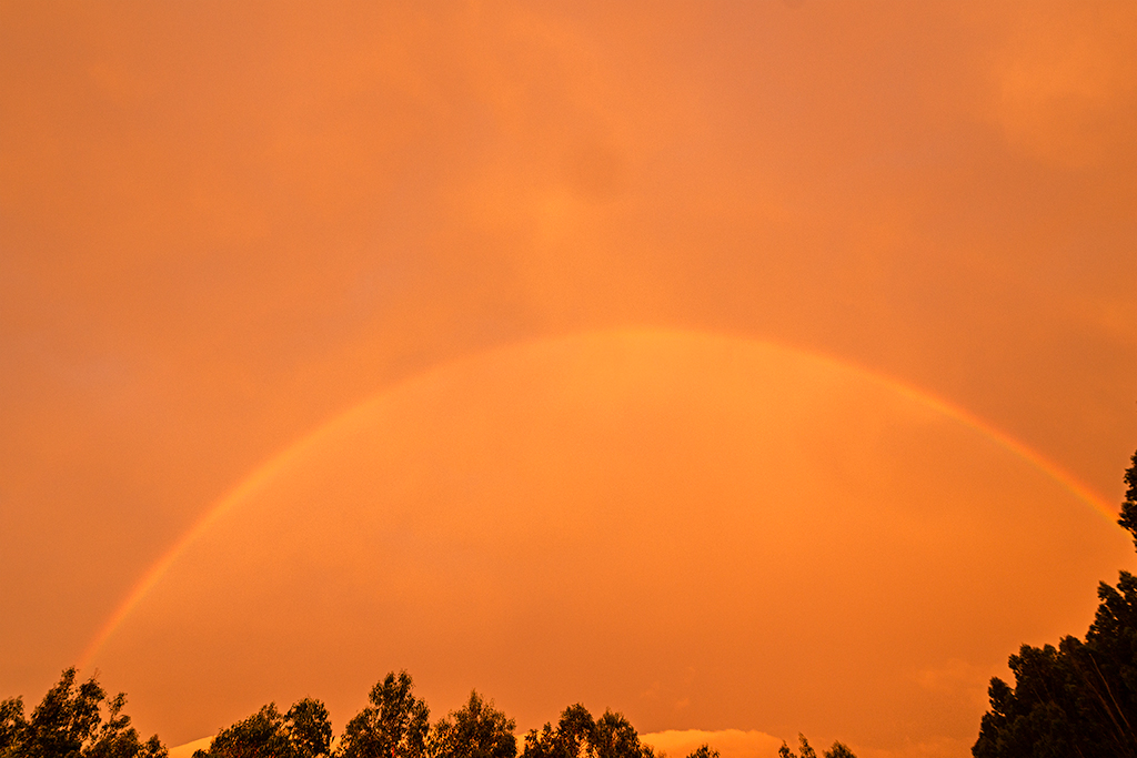 Arcoíris rojo
Con el Sol cercano al horizonte de la mar, se pudo observar este arcoíris completo.
